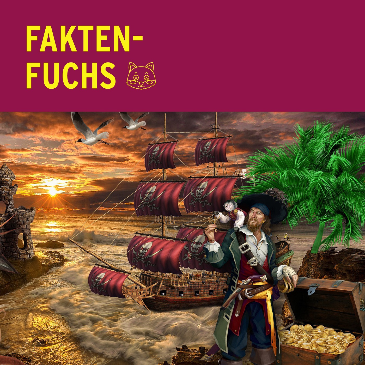 Faktenfuchs: Pirat*innen