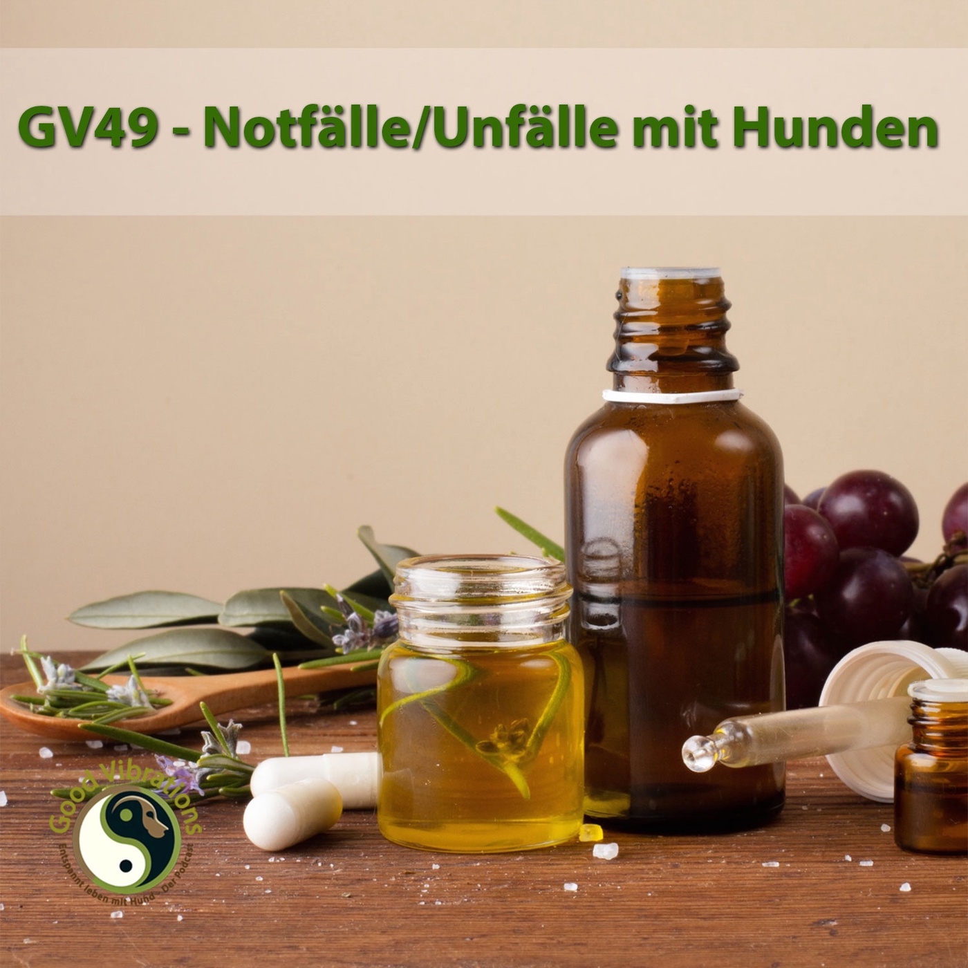GV 49_Notfall und Unfall bei Hunden