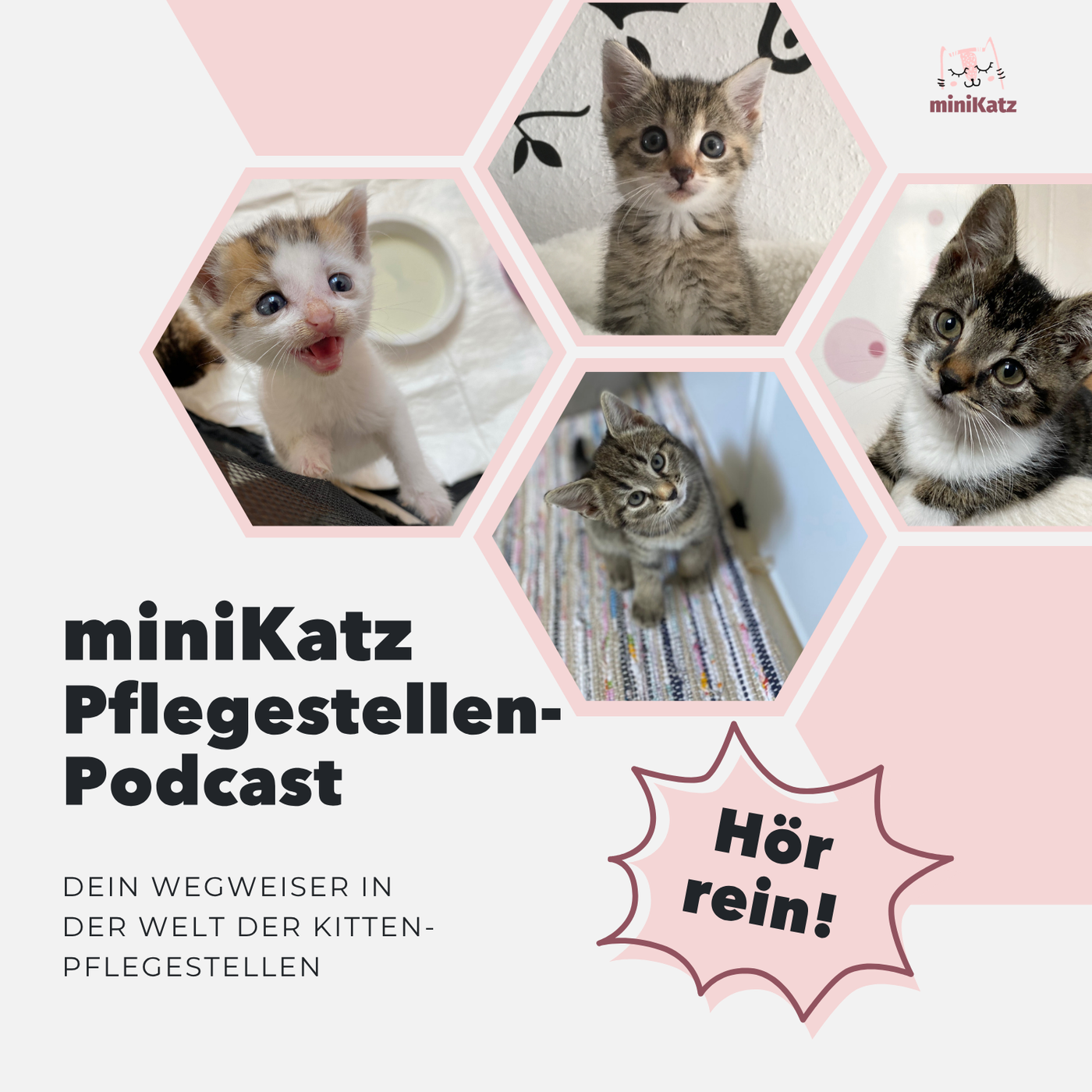 miniKatz Pflegestellen-Podcast