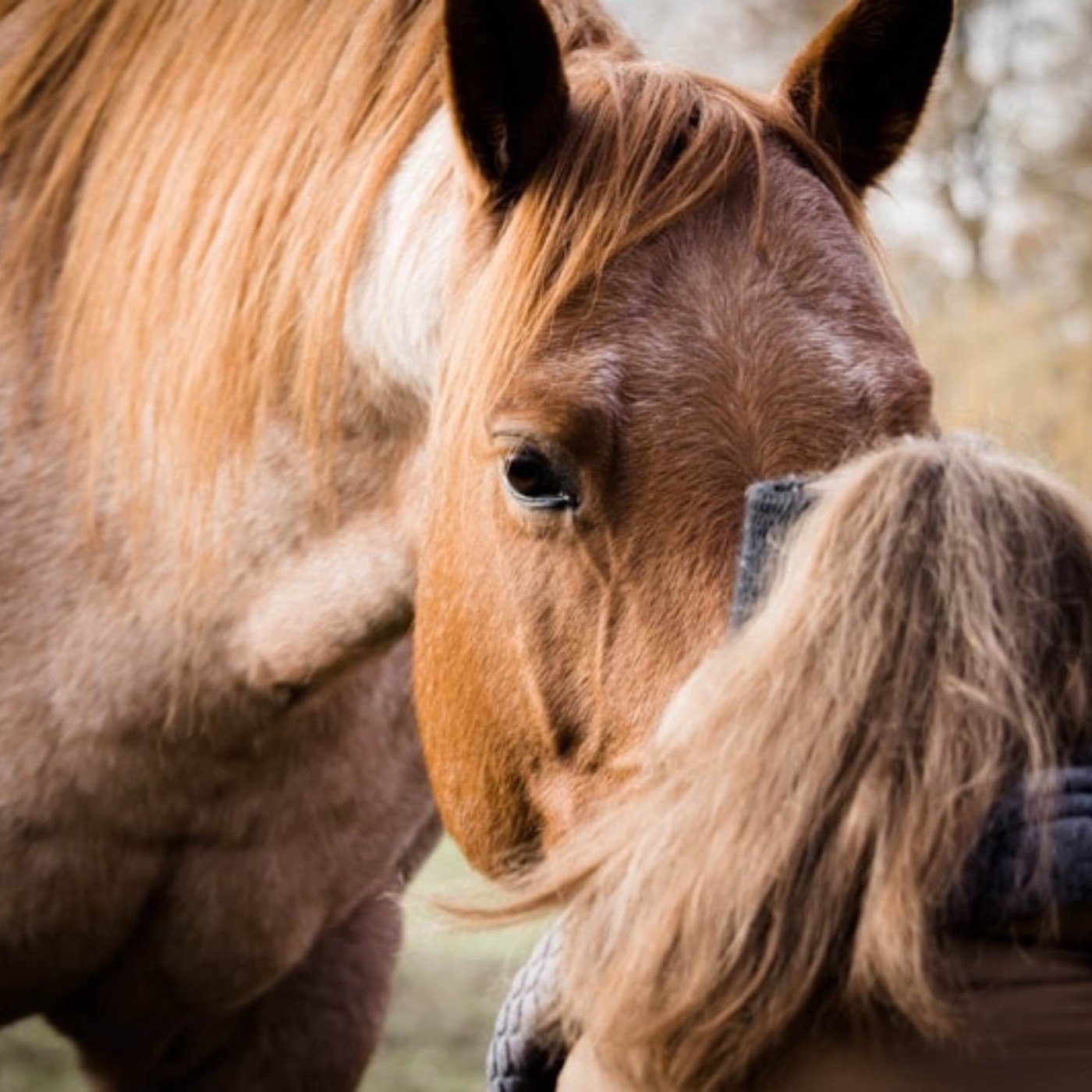 LOVE = Liebe - Ommmh - Vertrauen - Empathie