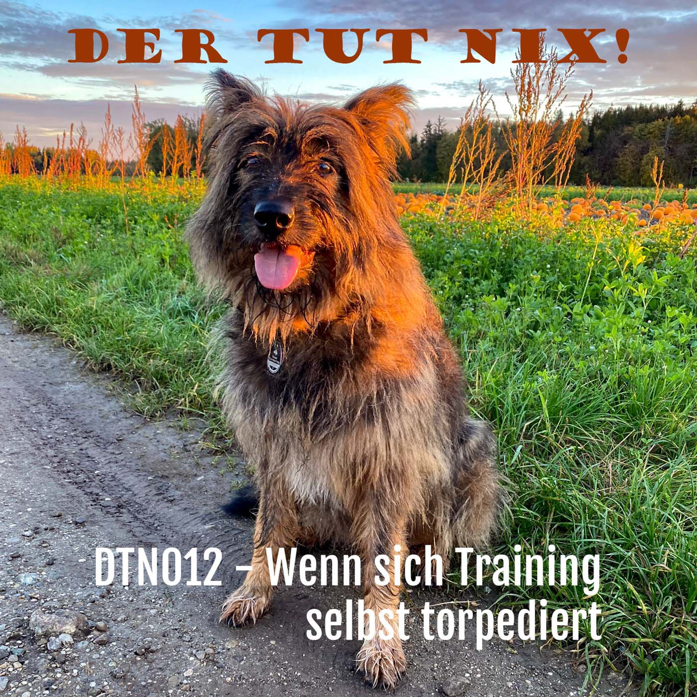 DTN012 - Wenn sich Training selbst torpediert