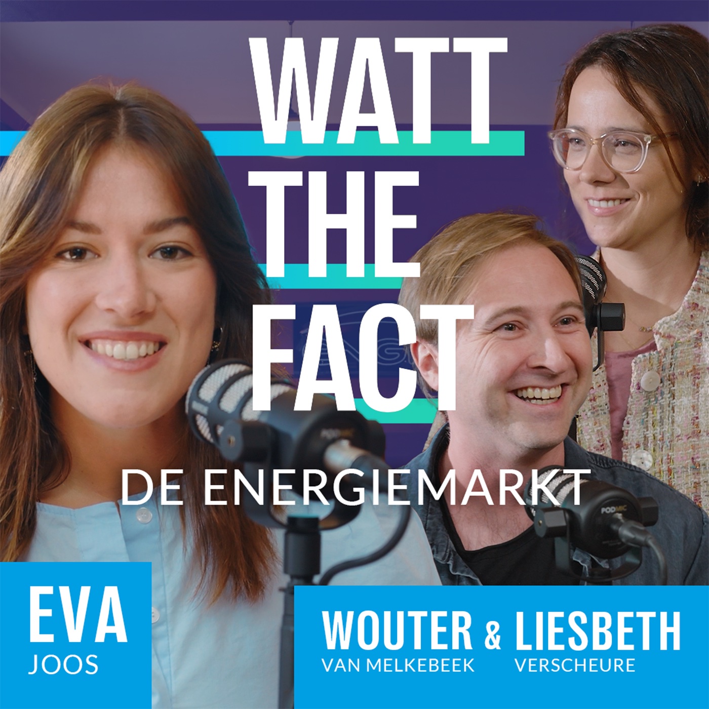 De energiemarkt