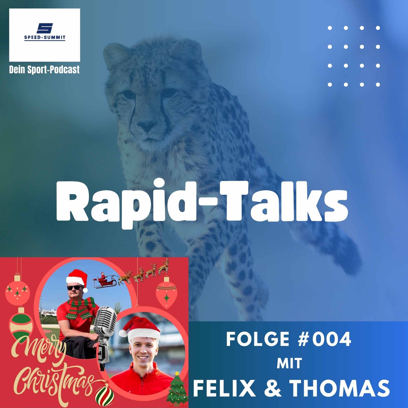 Rapid-Talks #004 Leonardo DiCaprio, Lörrach & Last Christmas / Mit Felix & Thomas