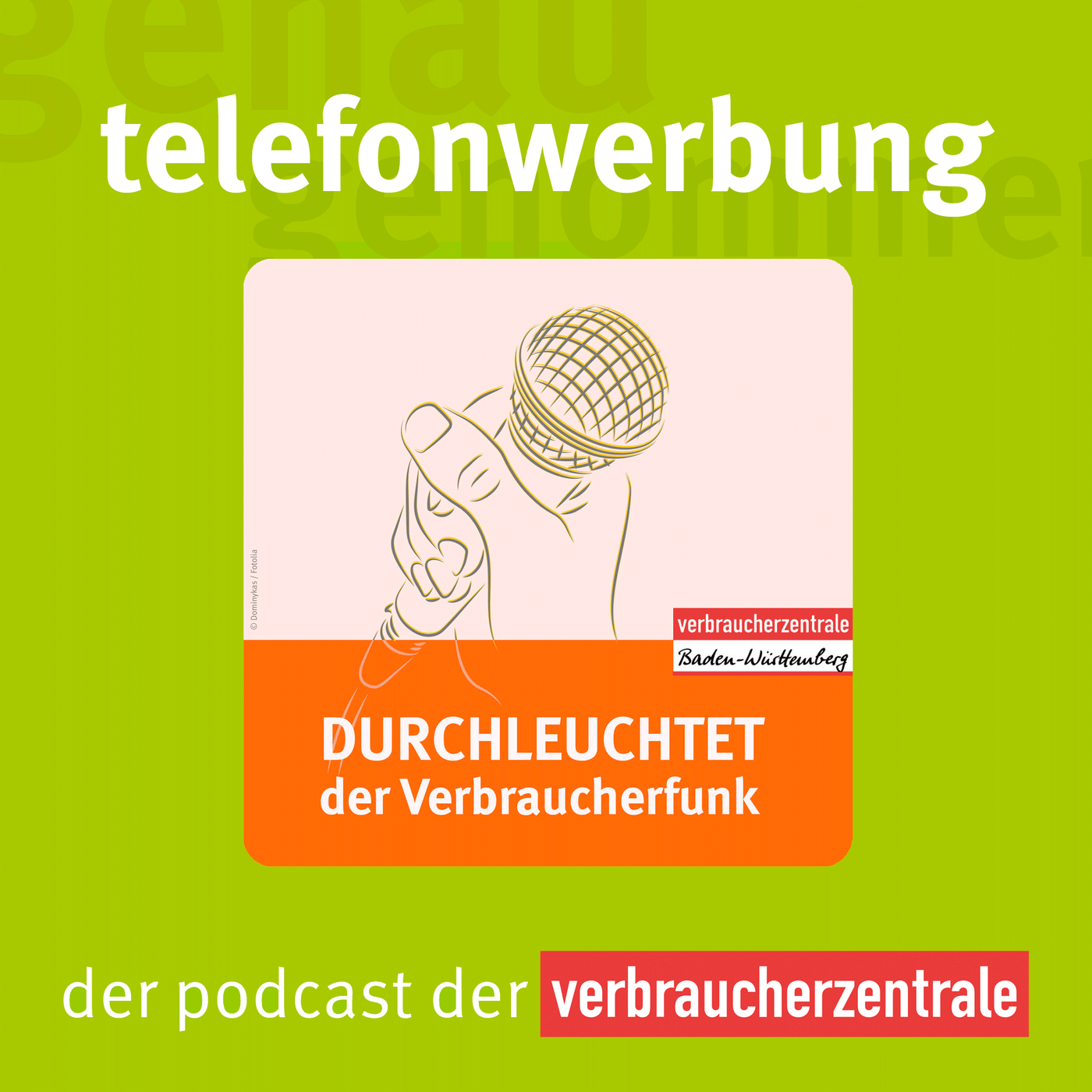 Telefonwerbung (Bonusfolge der VZ Baden-Württemberg)