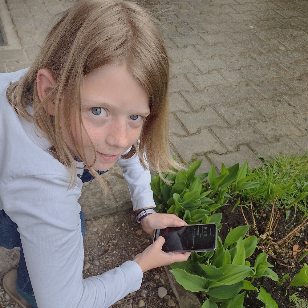 App Check: Flora Incognita