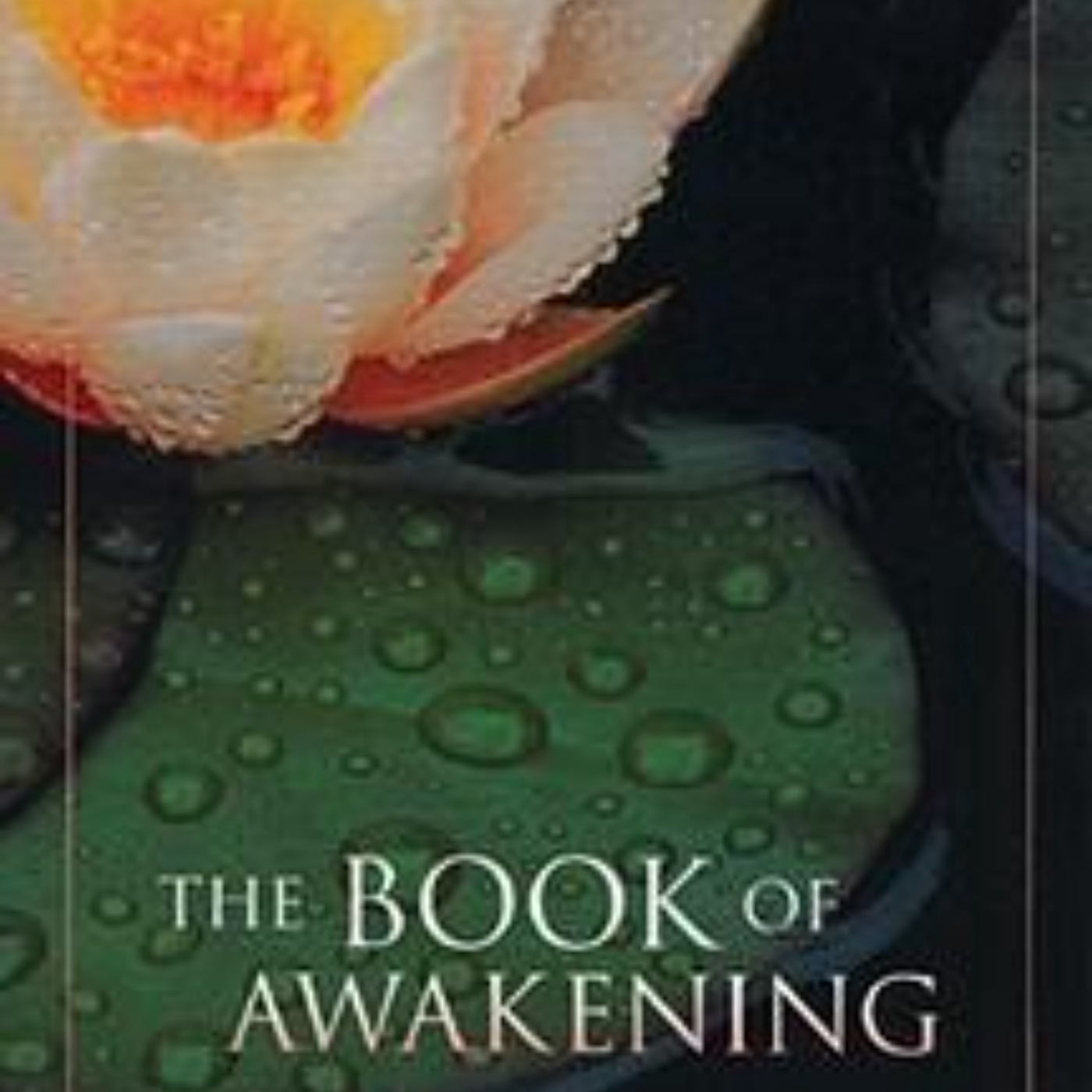 The Book of Awakening: A Journey to Inner Peace