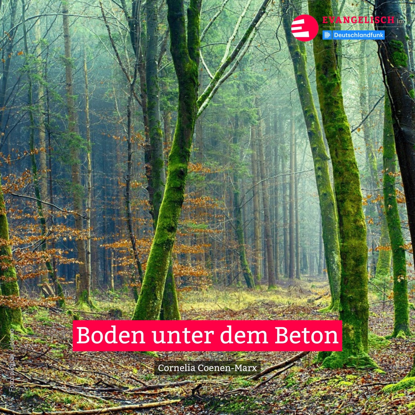 Boden unter dem Boden
