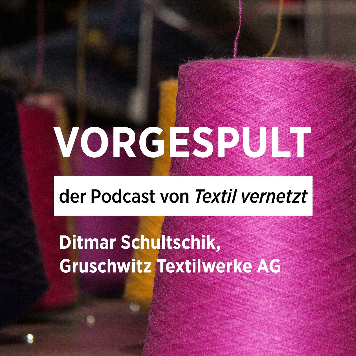 Digitalisierungs-Roadmap für die Gruschwitz Textilwerke