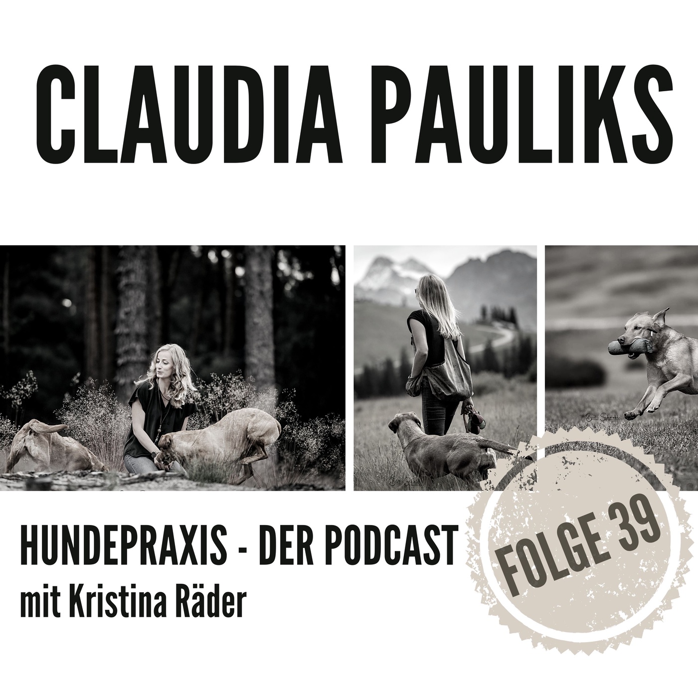 Training anders gedacht - Claudia Pauliks