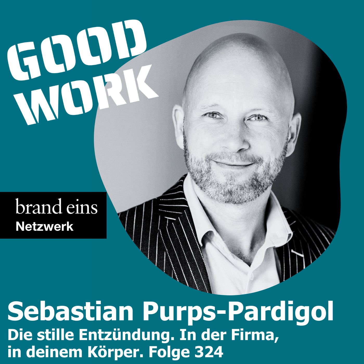 Die stille Entzündung. In der Firma, in deinem Körper. Sebastian Purps-Pardigol (324)