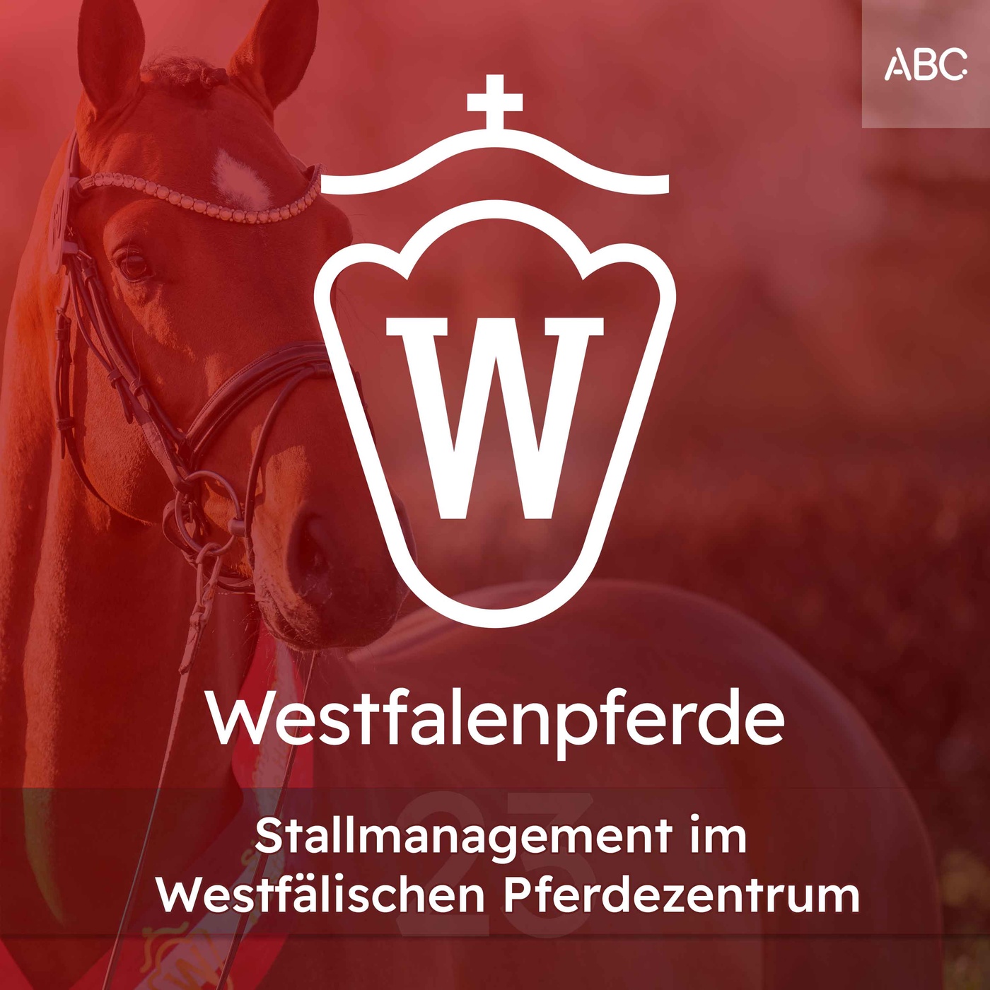 Stallmanagement am Westfälischen Pferdezentrum