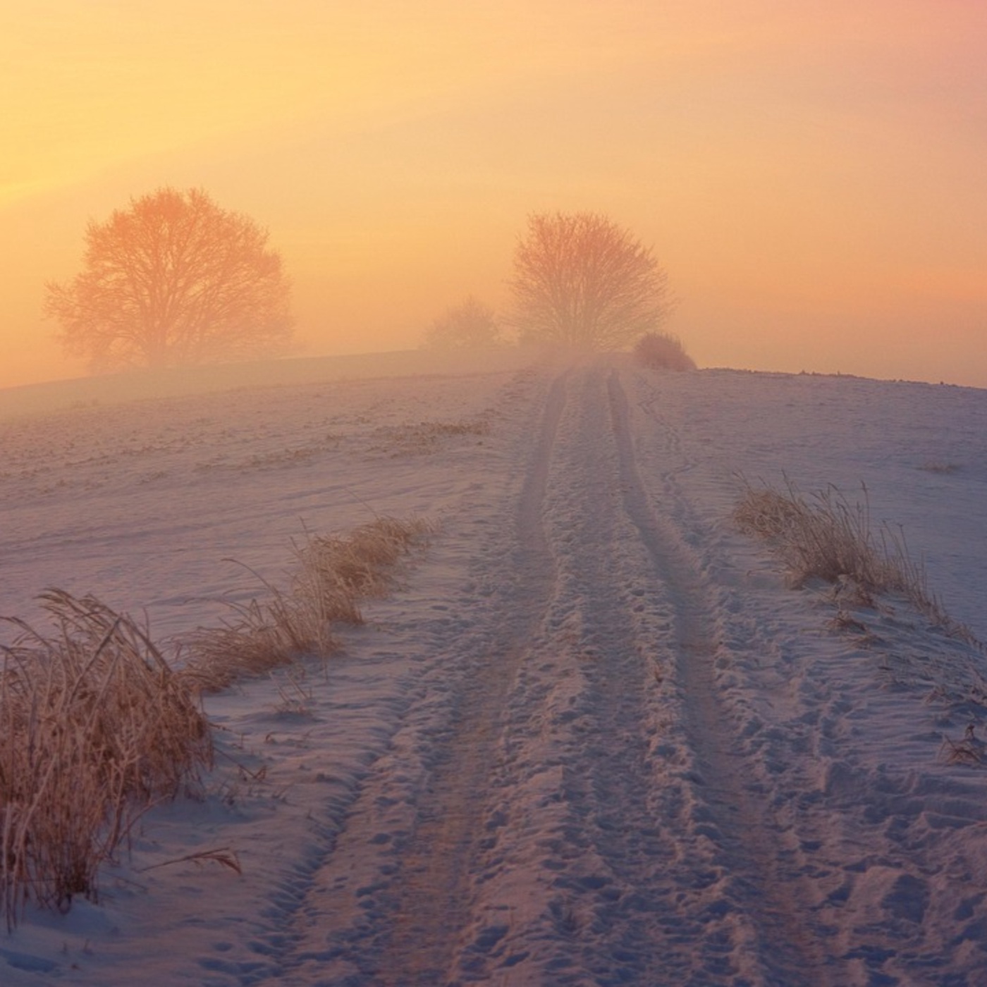Adventkalender #16 Edith Wolf Perez und Katy Geertsen