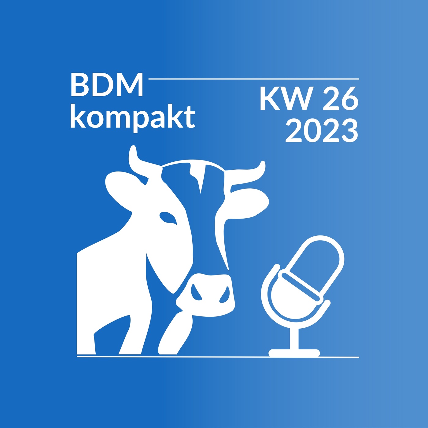 BDM kompakt KW 26/2023