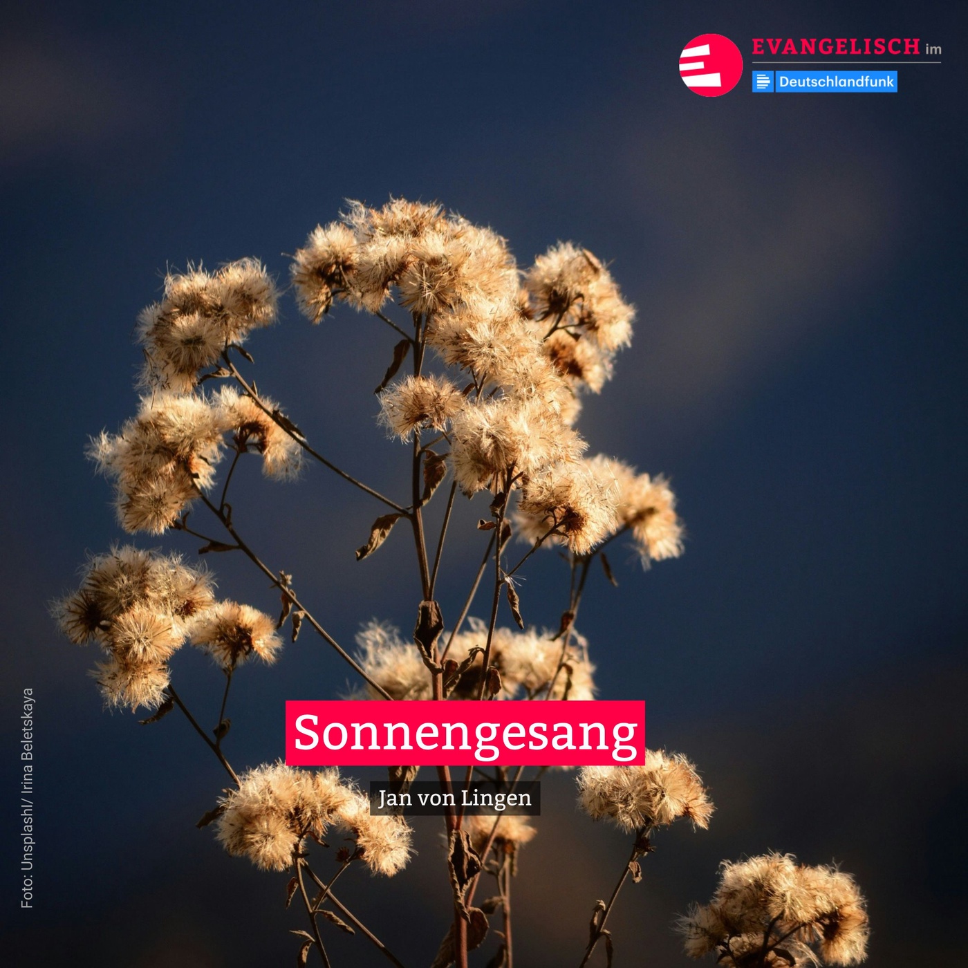 Sonnengesang