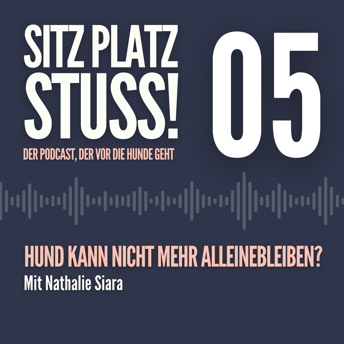 Hund kann plötzlich nicht mehr Alleinbleiben?