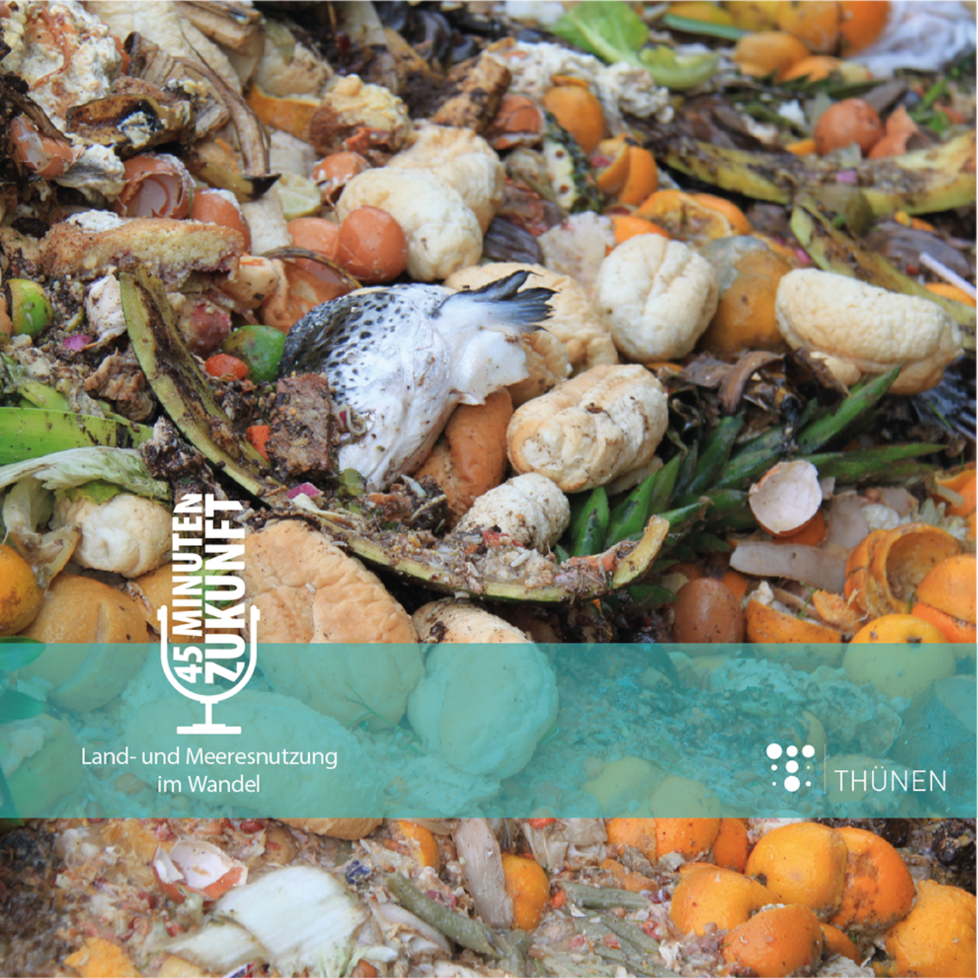 Teller statt Tonne II – Ist Lebensmittelverschwendung ein soziales Problem? #24