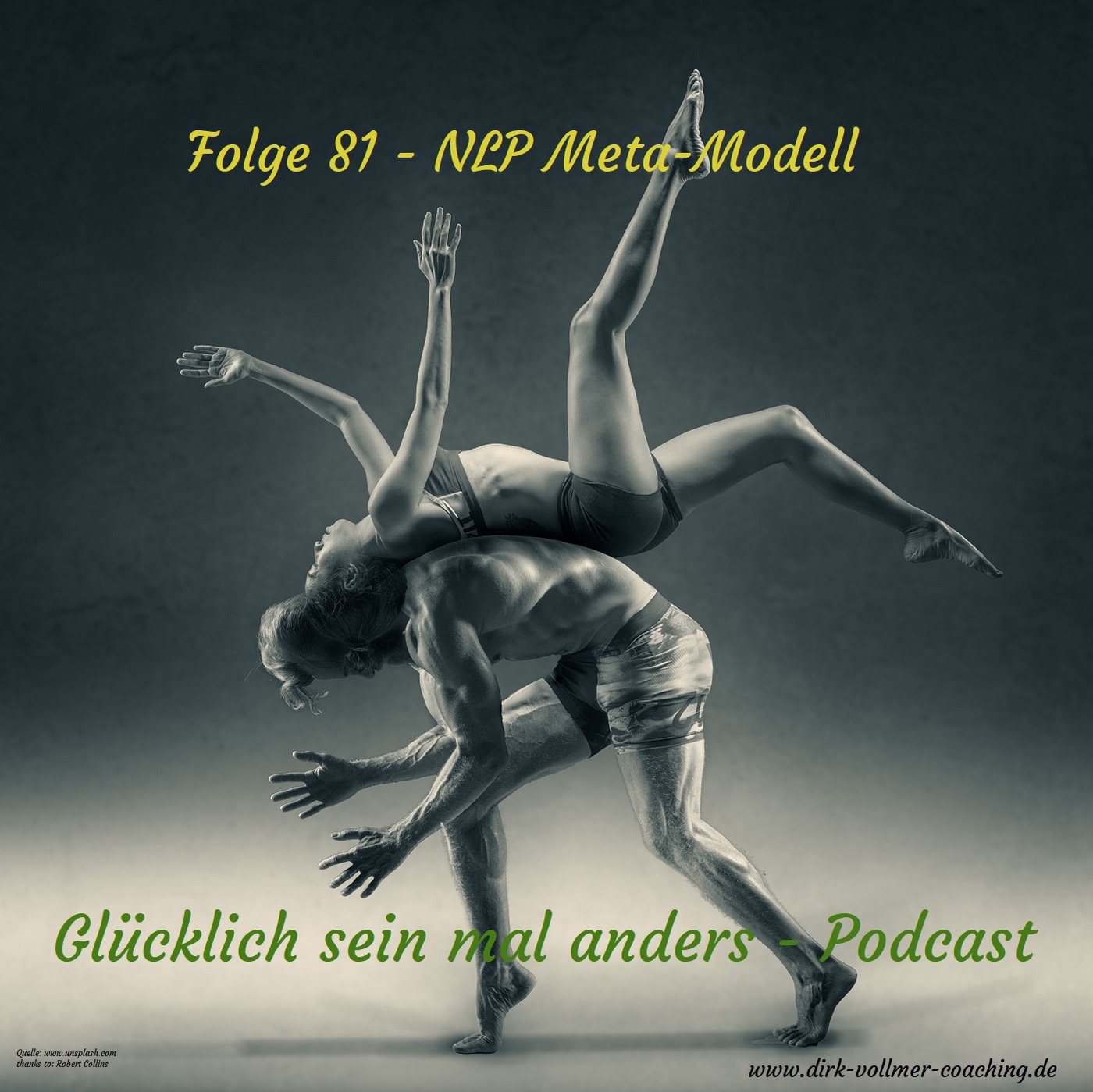 Folge 81 - NLP Meta-Modell