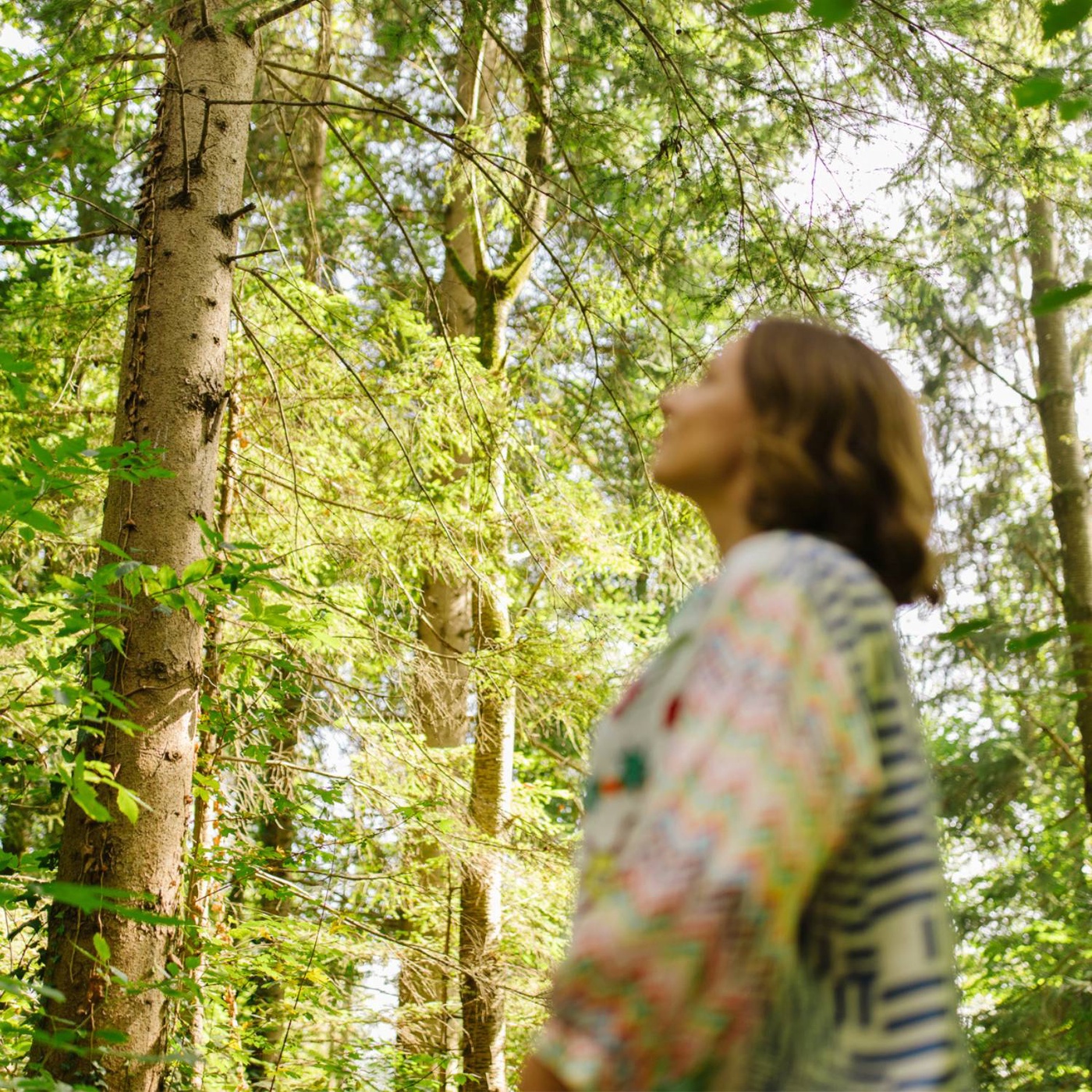 Einblicke in die Ayurveda-Lifestyle-Coaching-Ausbildung