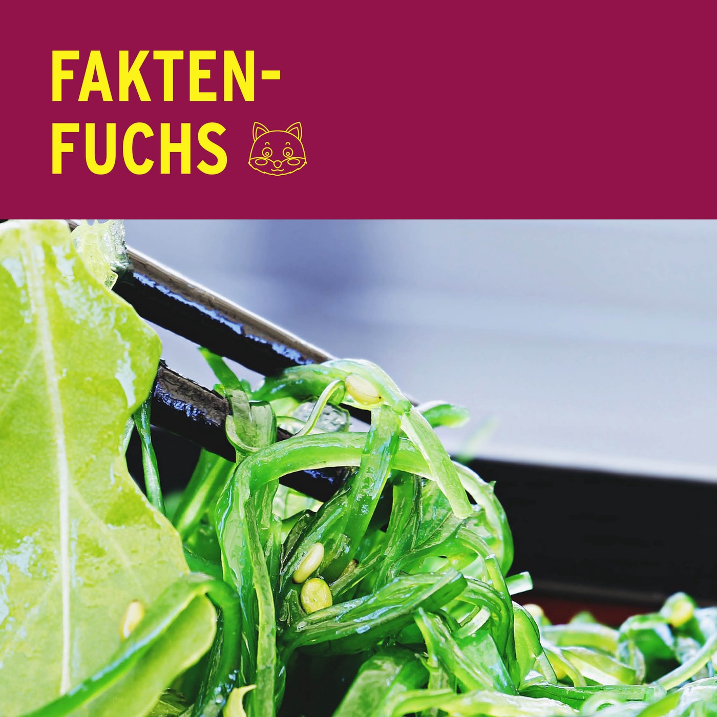 Faktenfuchs: Seealgen