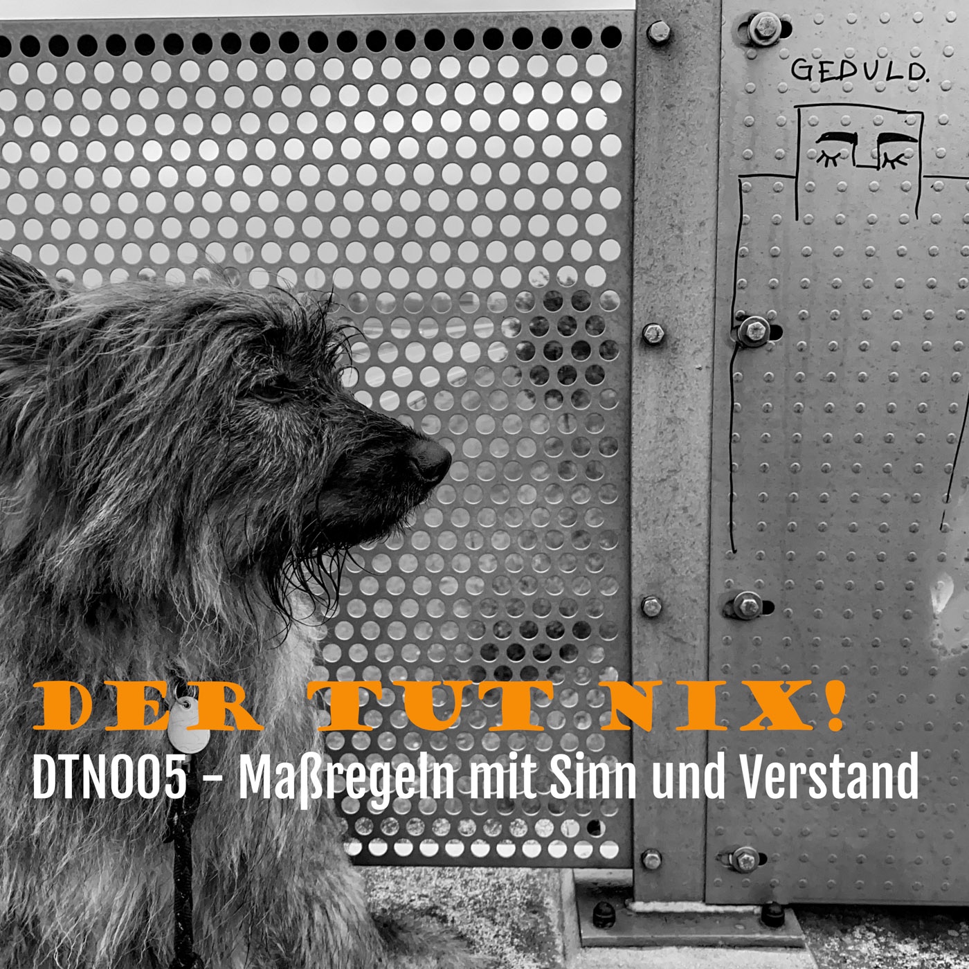 DTN005 - Maßregeln mit Sinn und Verstand