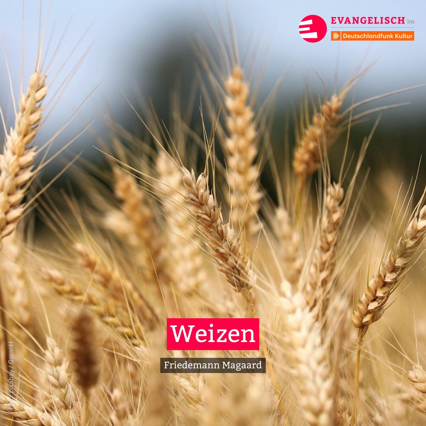 Weizen