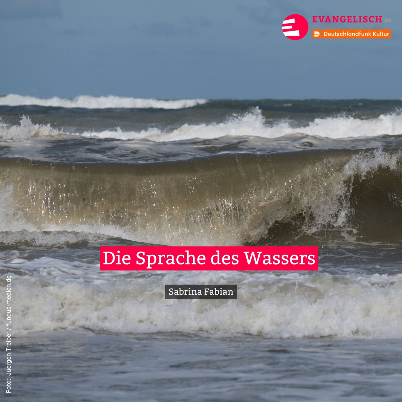 Die Sprache des Wassers