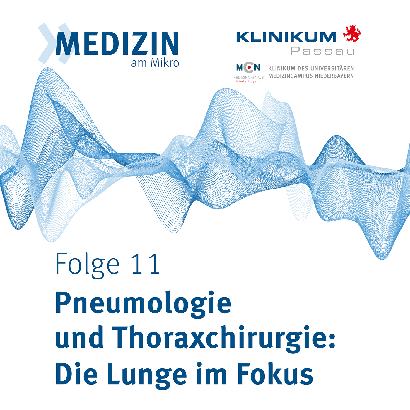 Pneumologie und Thoraxchirurgie: Die Lunge im Fokus