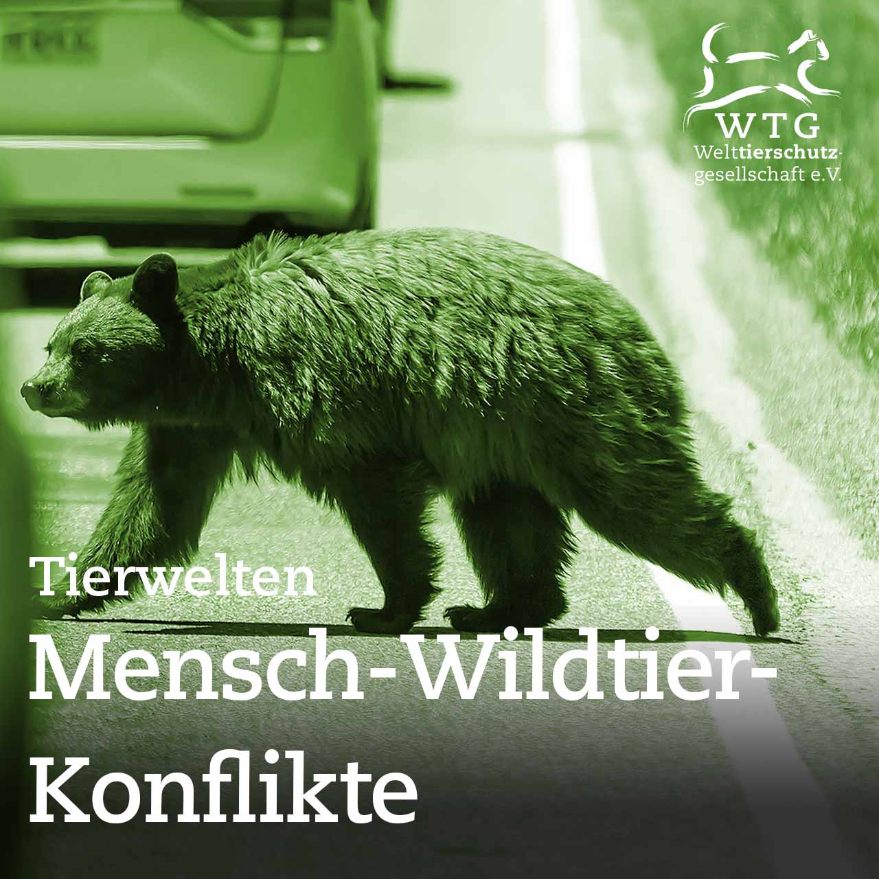 Mensch-Wildtier-Konflikte in Rumänien und Indonesien  