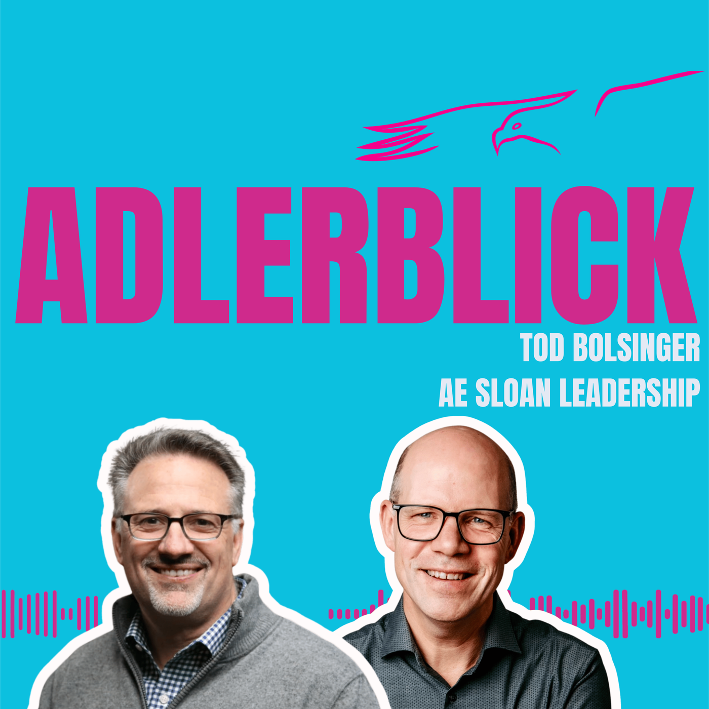 Tod Bolsinger: Leadership in Times of Change and Transformation - Mission Over Comfort!  #41