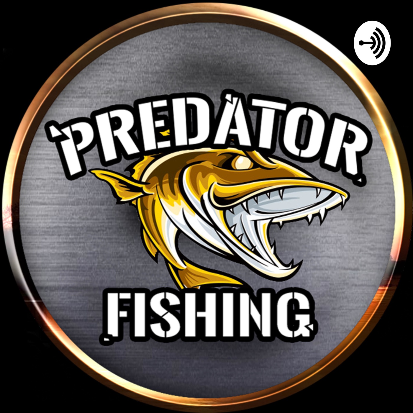 [6] Predator Fishing | Meine erste begegnung mit einem Karpfen(angler) Part 3