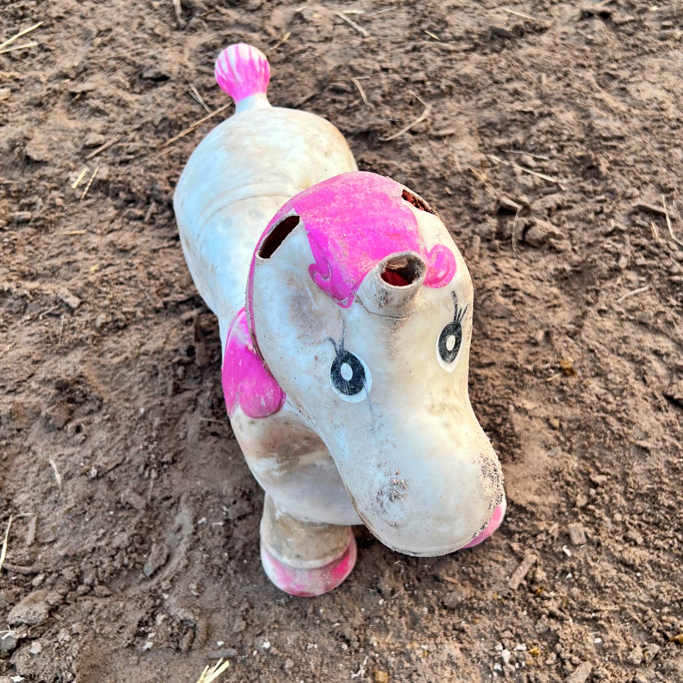 #416 Alle Zeit der Welt: Über Training ohne Verbissenheit