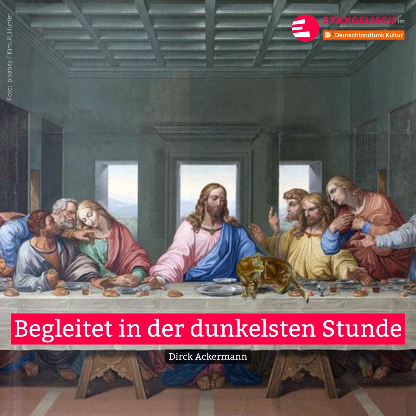 Begleitet in der dunkelsten Stunde