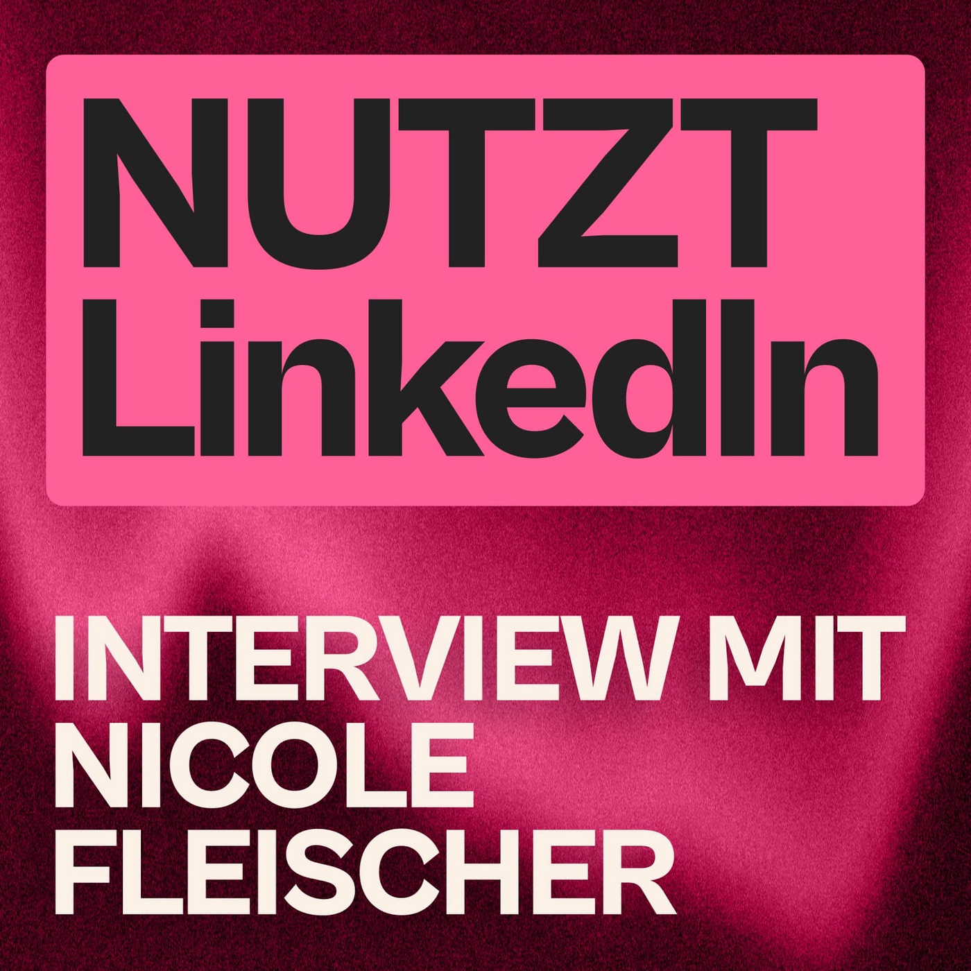 LinkedIn nervt — aber es bringt Kundschaft (mit Nicole Fleischer)