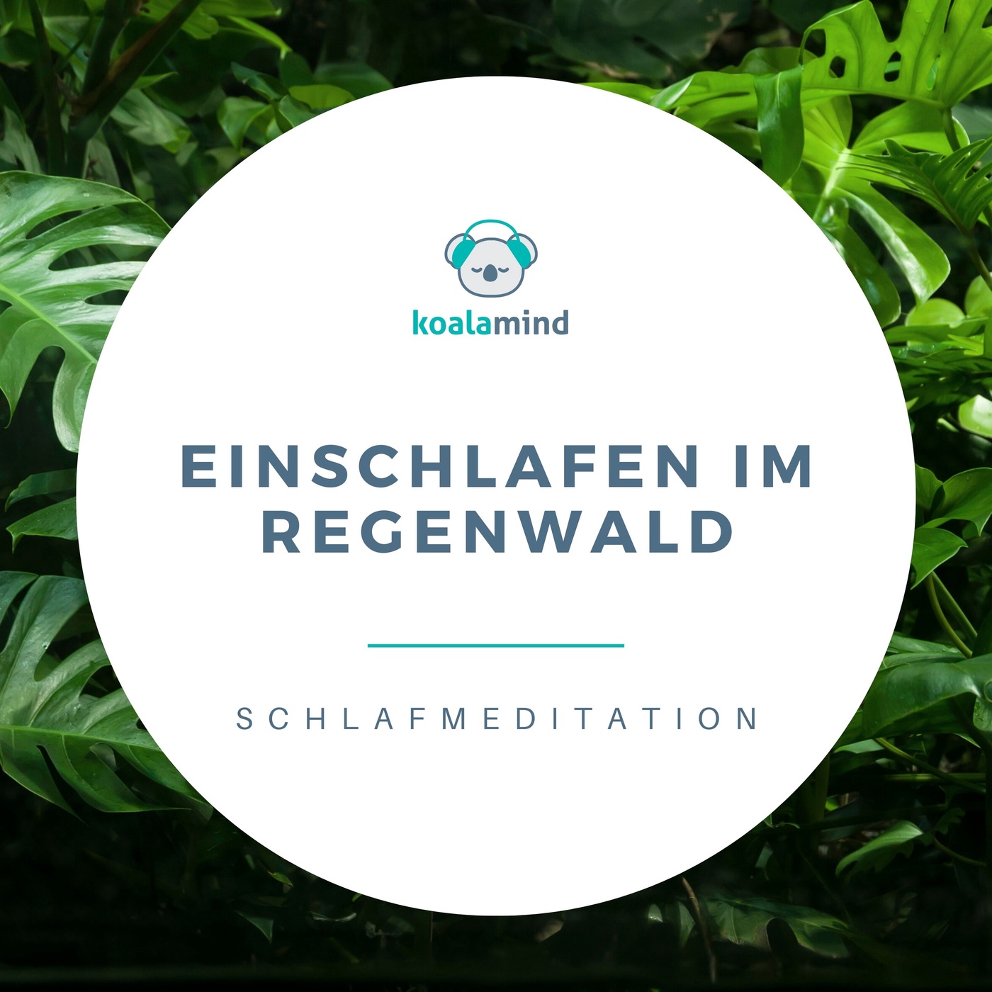 Schlafmeditation: Einschlafen im Regenwald