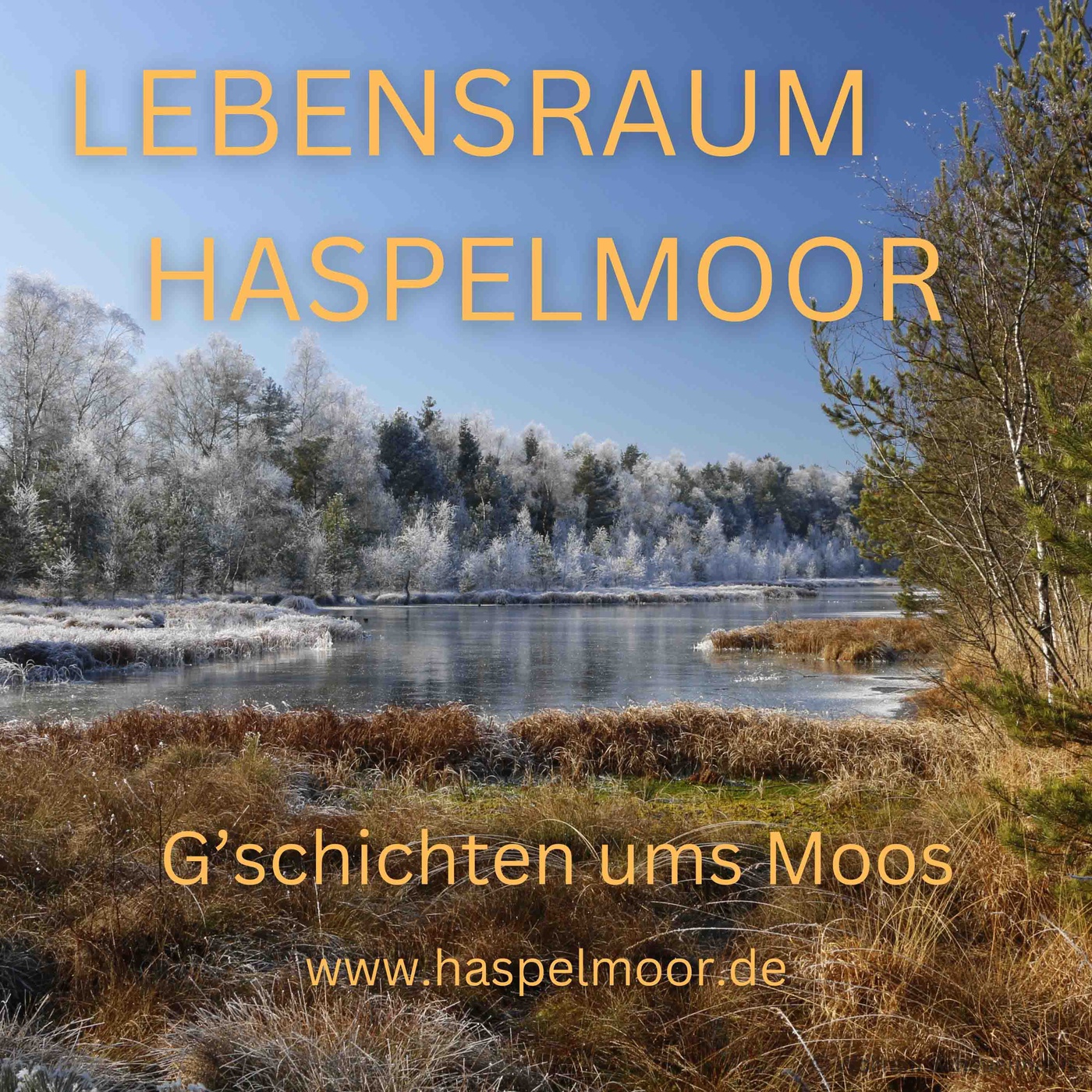 Haspelmoor Podcast - Geschichten ums Moos