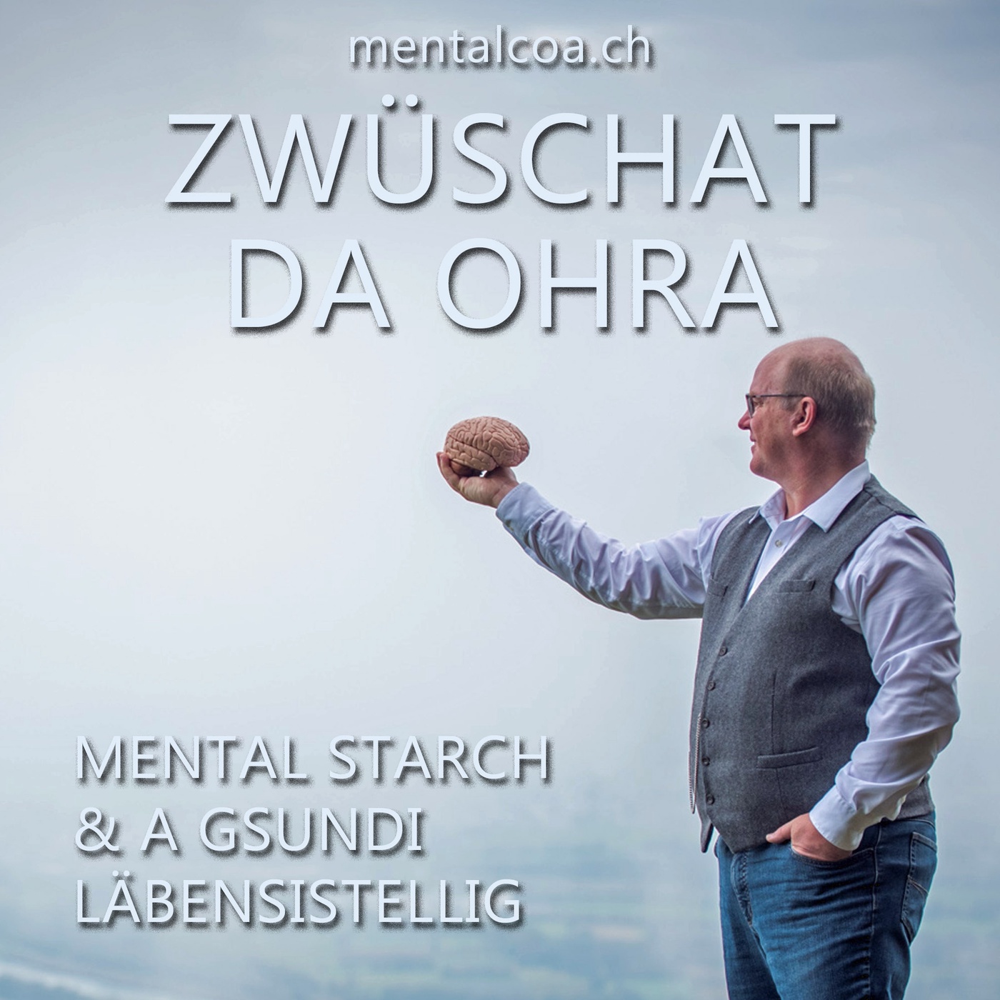 I han verstanda ≠ Du hesch gseit