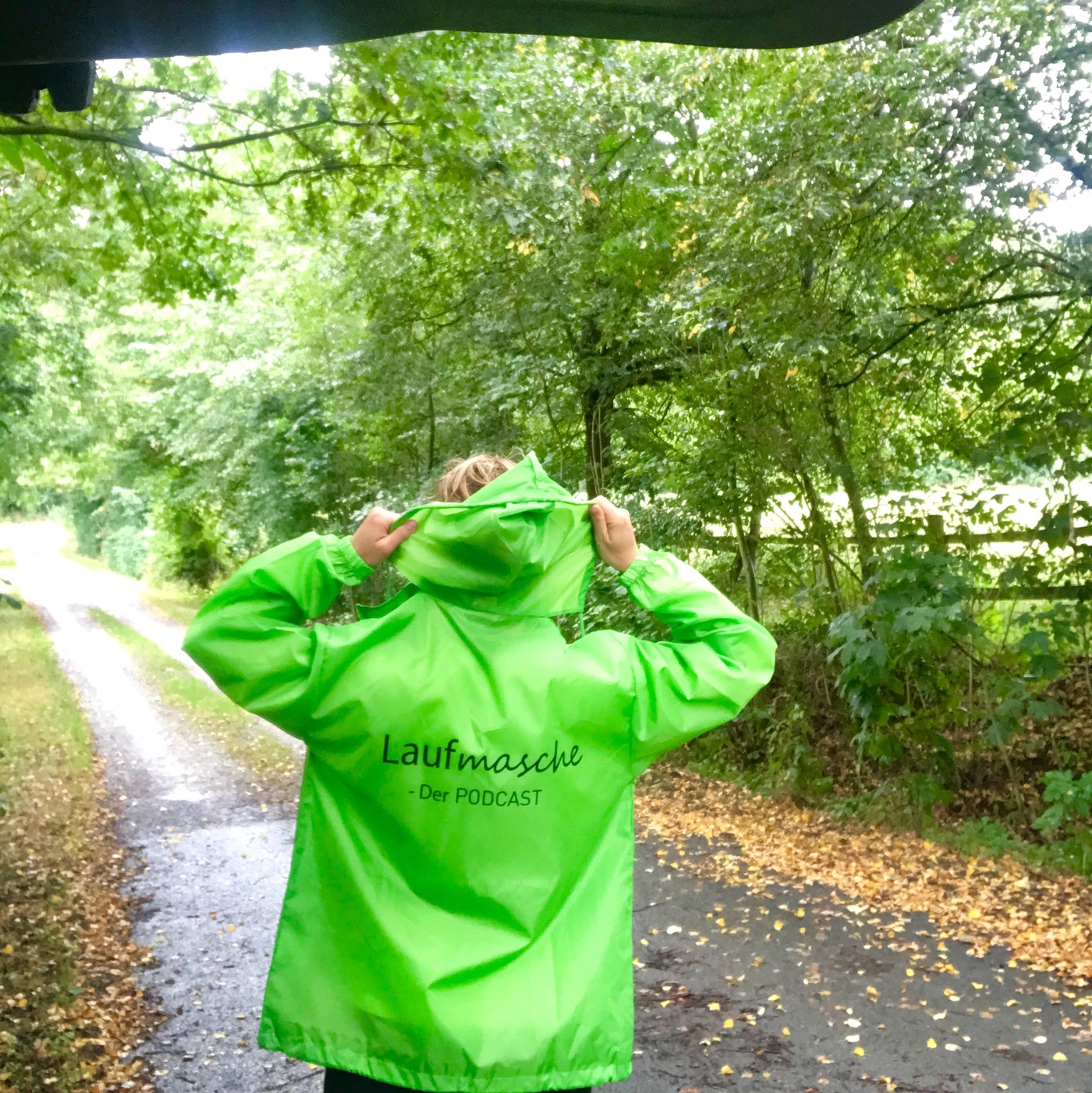 Das perfekte Laufwetter (Wöhlerlauf)