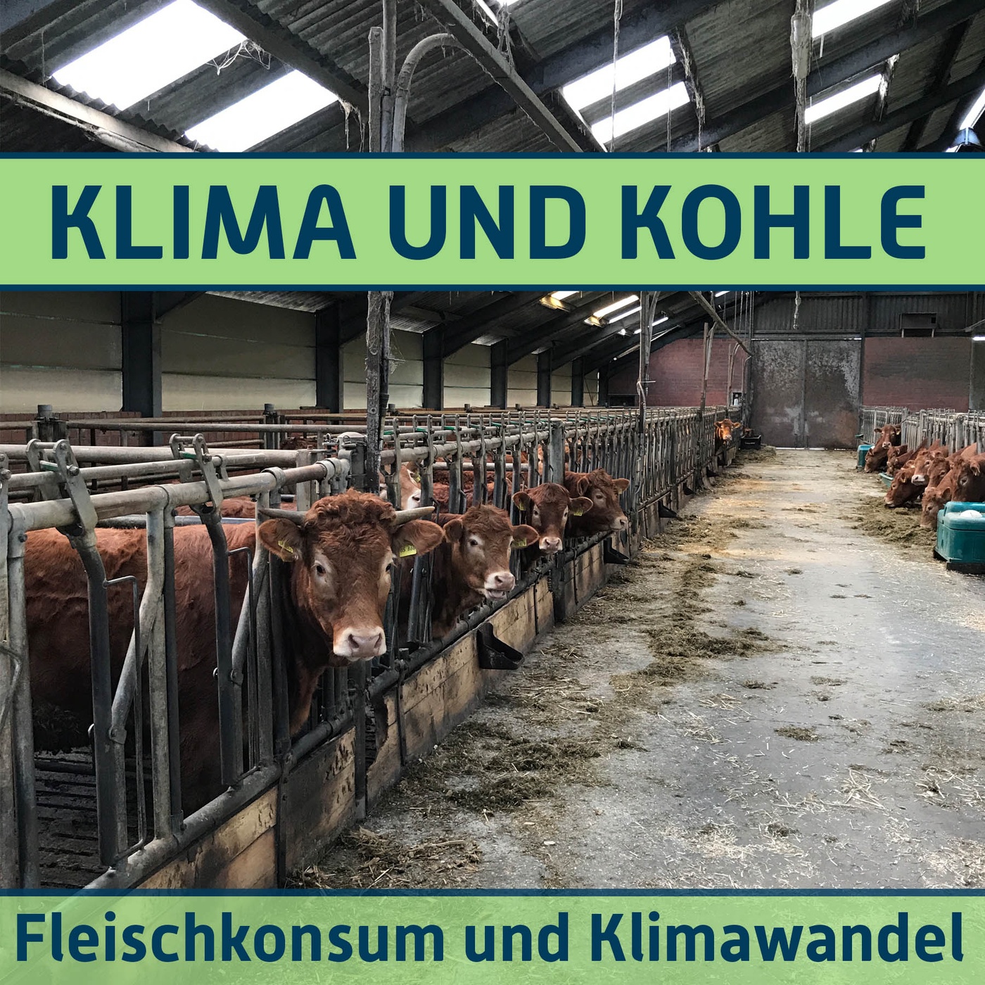 #164 Fleischkonsum und Klimawandel