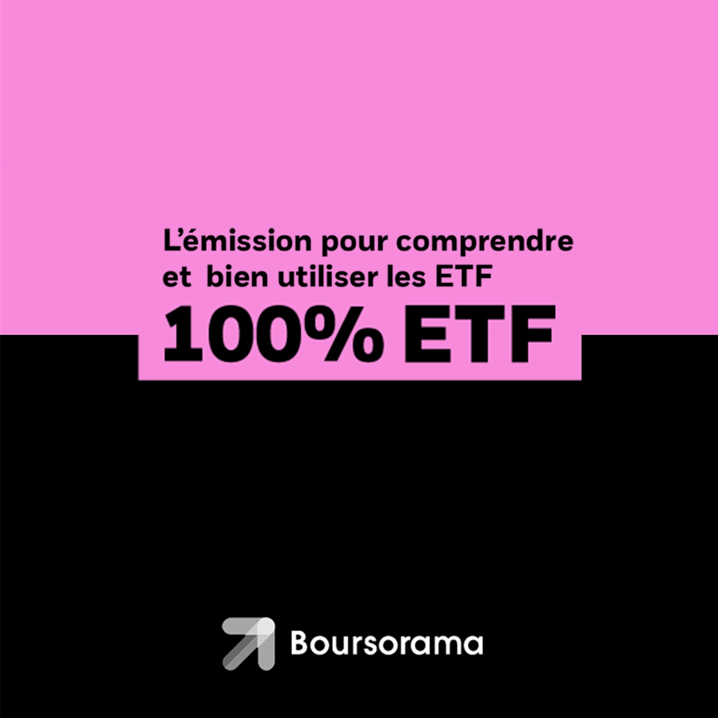 100% ETF