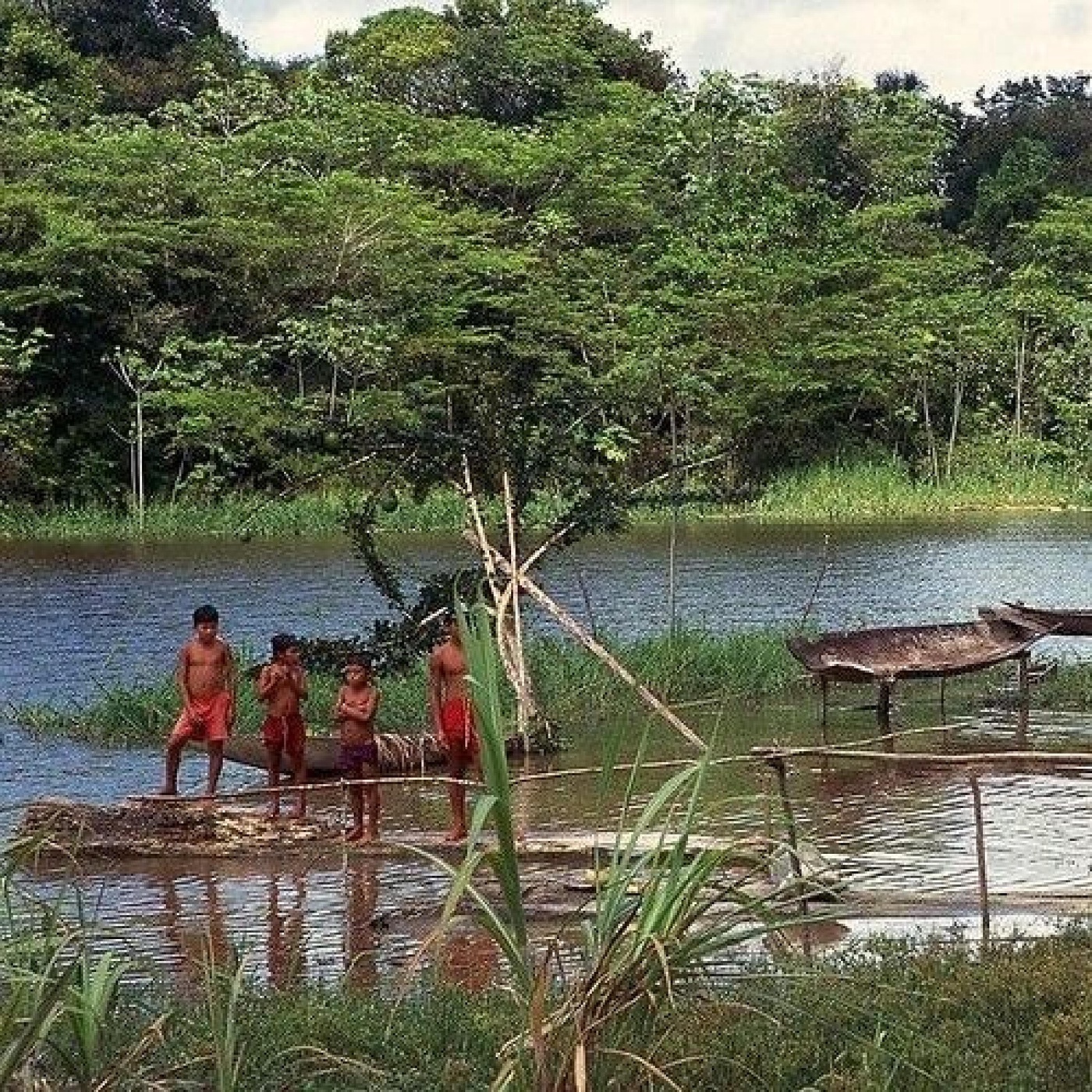 Das Amazonas-Gebiet in Gefahr: Umwelt- und Menschenrechte (2/2)