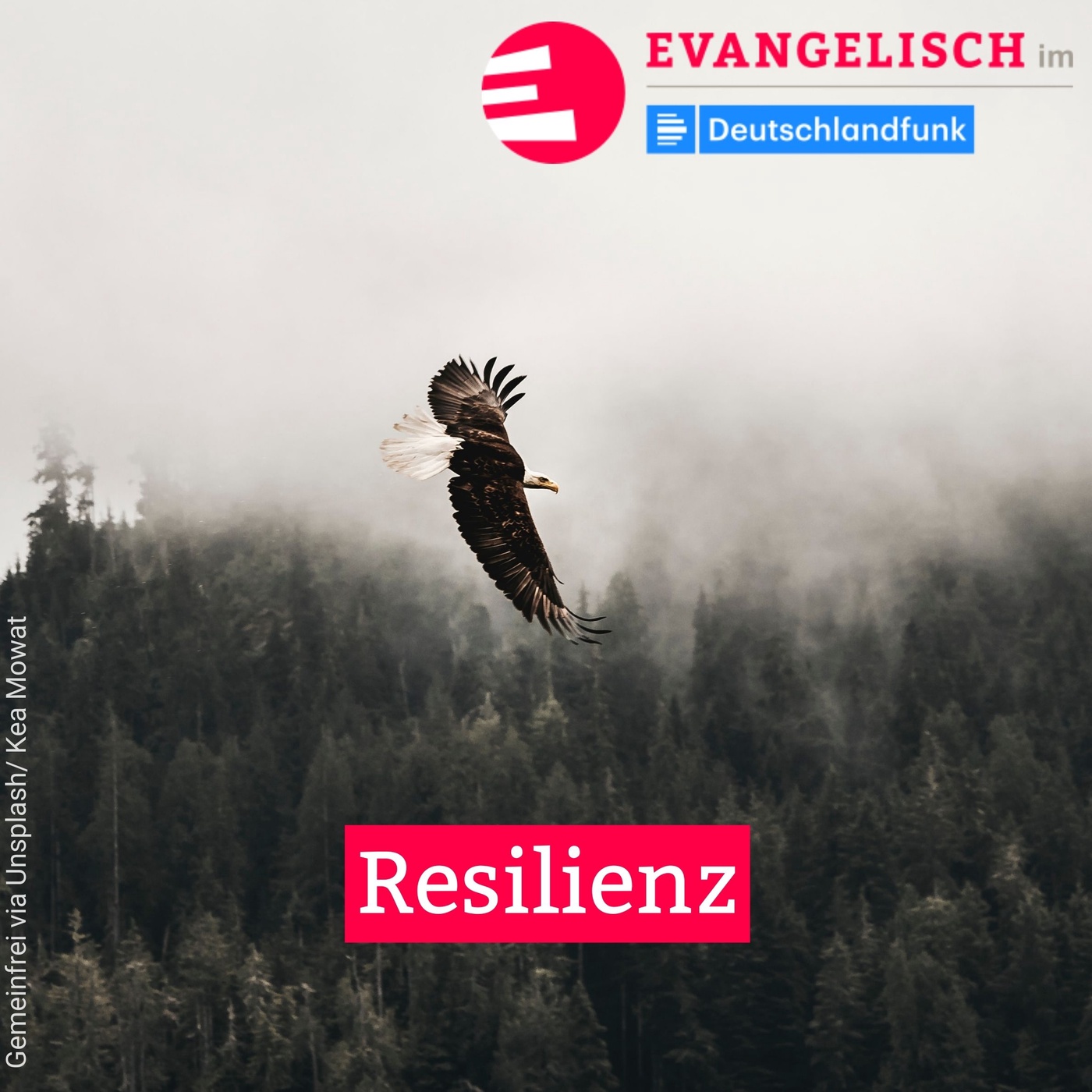 Resilienz