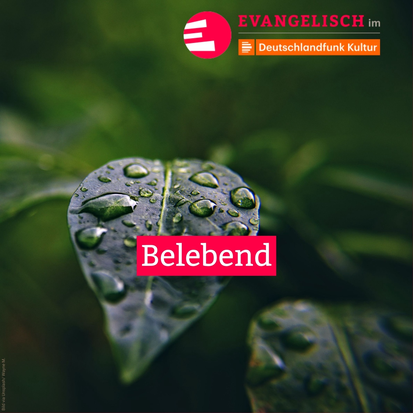 Belebend