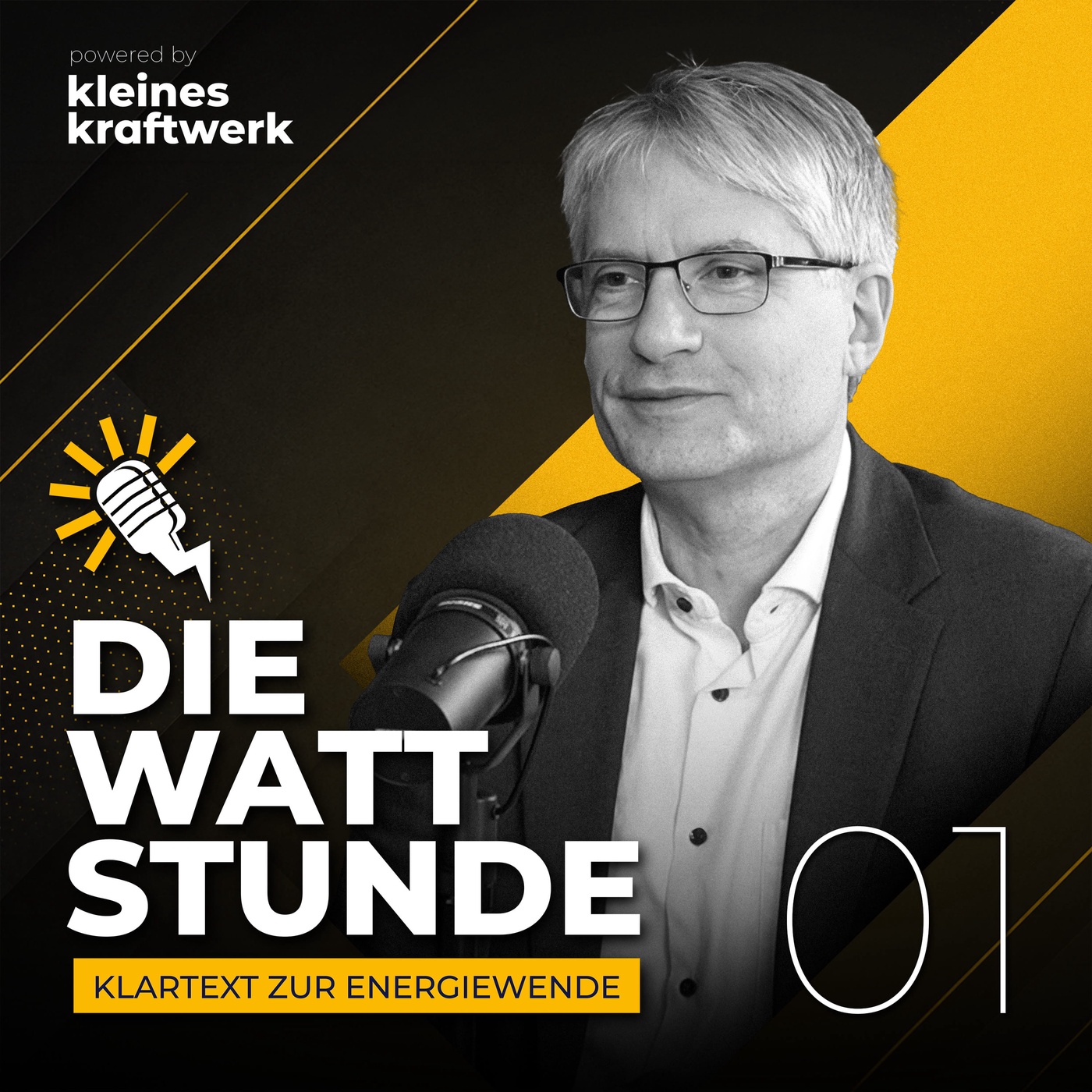 #1 - Grüner Vize-Chef: 