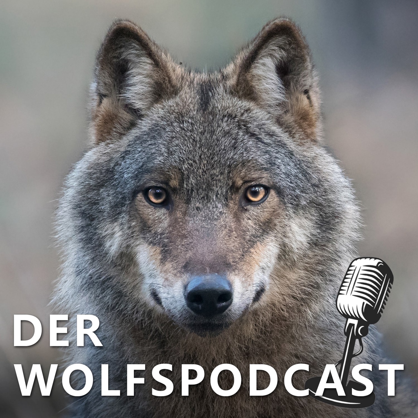 Der Wolfspodcast