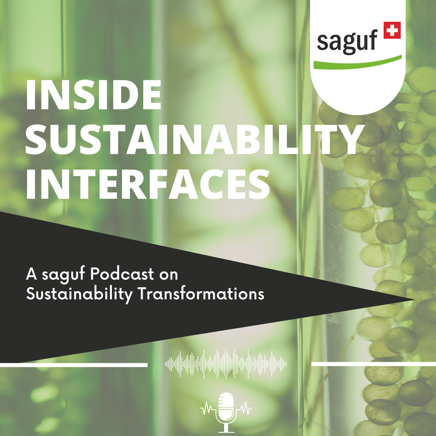 Inside Sustainability Interfaces