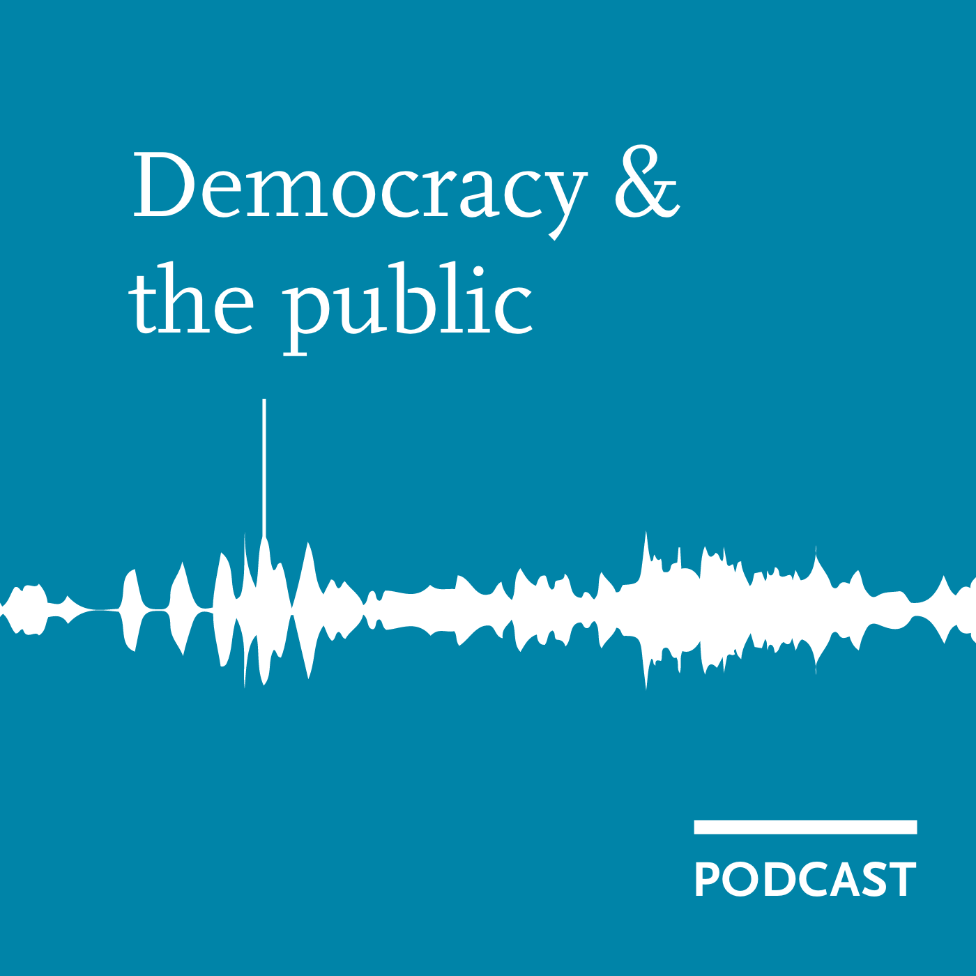 Democracy and the public