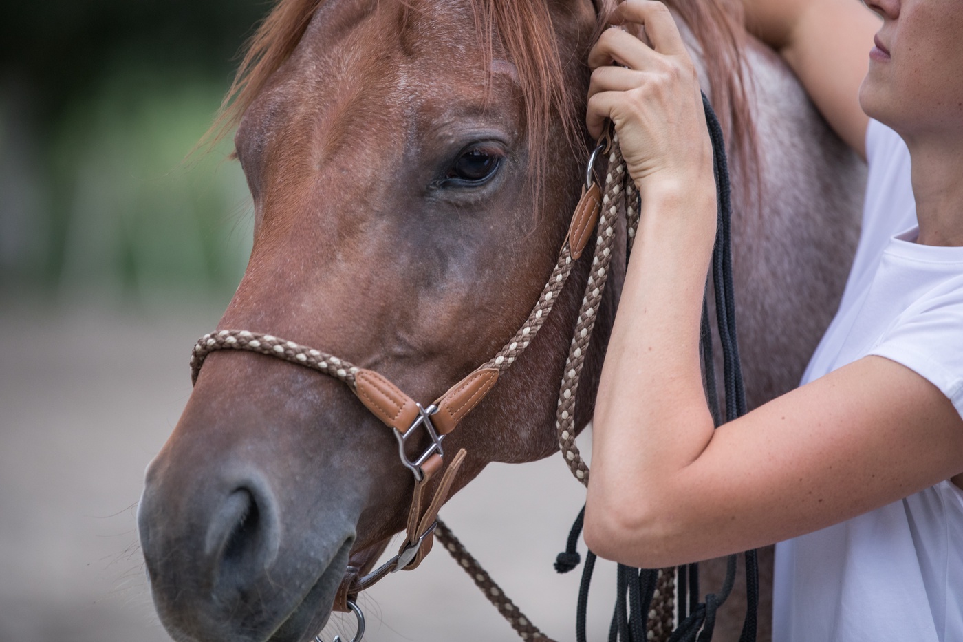 7 Tage Training! Ich nehme dich mit in meine Woche mit dem Pferd