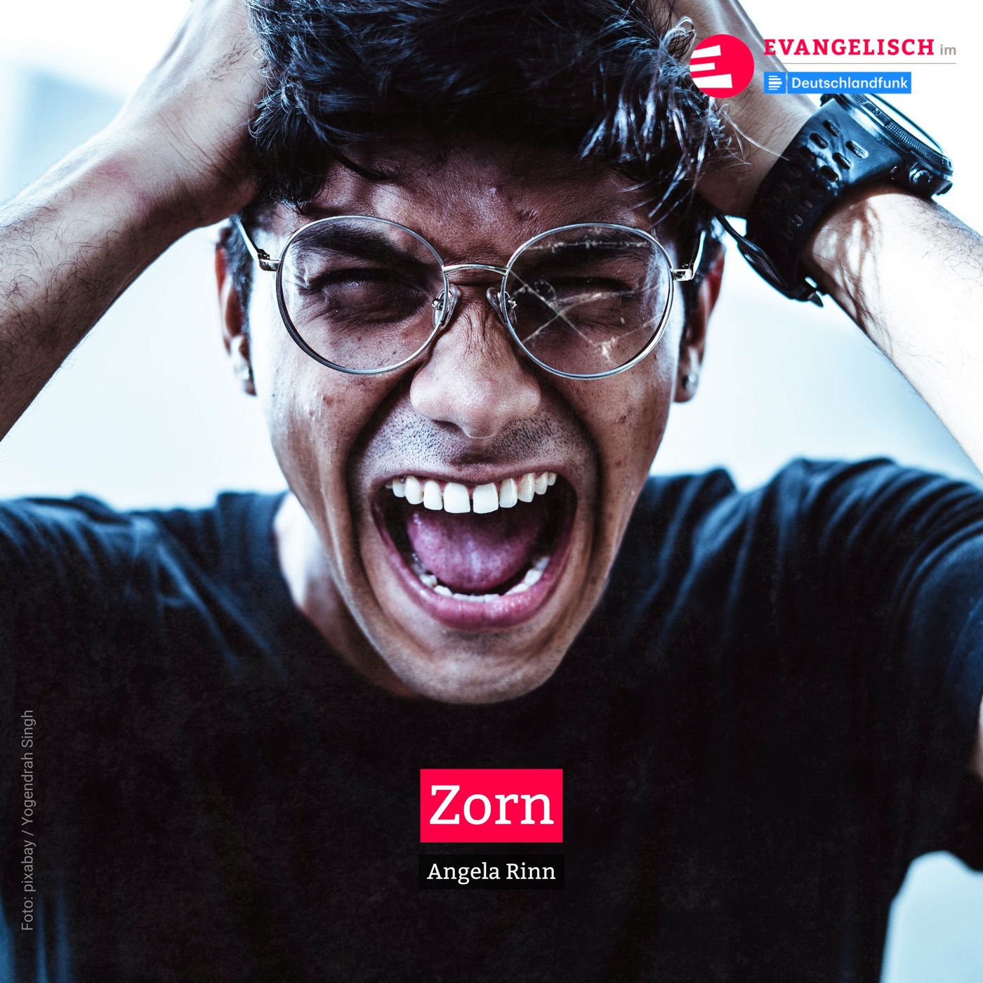 Zorn