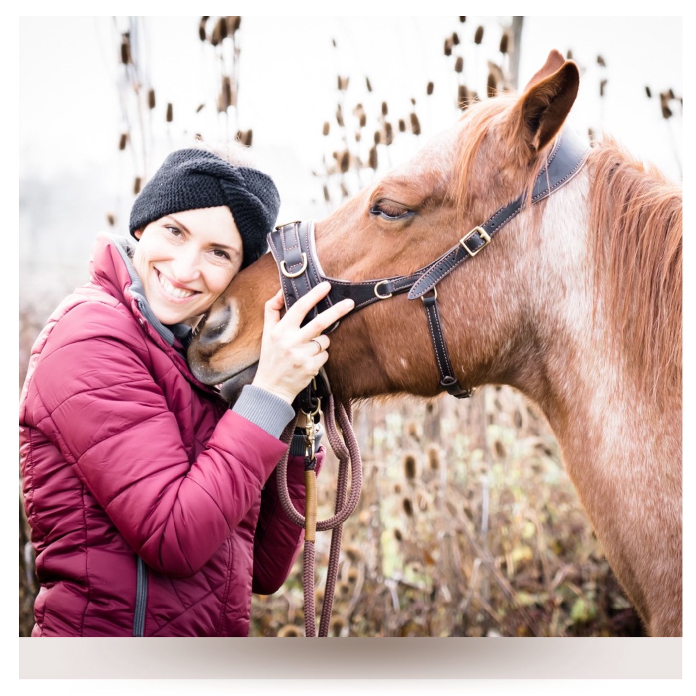 Für mehr Freude und weniger Frust mit dem Pferd