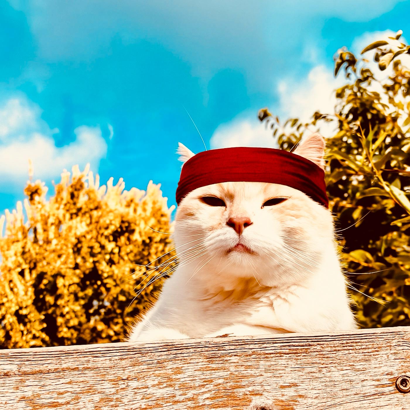 George P. Cosmatos – Teil 3 (1989-1997)